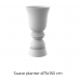 suave planter