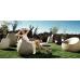 stone planter