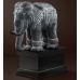 elephant XL