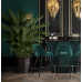 planter hortus
