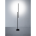 hashi