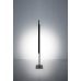 hashi