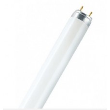 L15W/840 osram