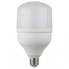Лампа промышленная светодиодная LED POWER T115 30W 4000/6500K E27