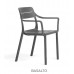 cassia armchair