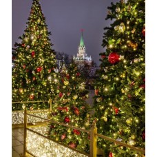 Гирлянда модульная «Дюраплей LED» 10м