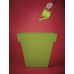 il vaso